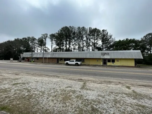 102 E Magnolia Ave, Geneva, AL 36340