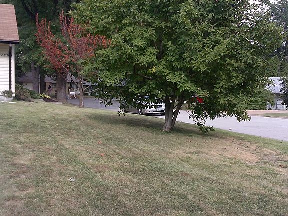 3rd image of 1328 Samoa Dr