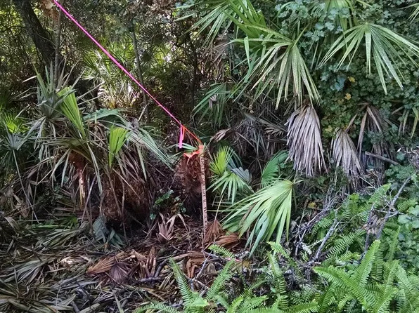 267 Sunrise Blvd, Debary, FL 32713