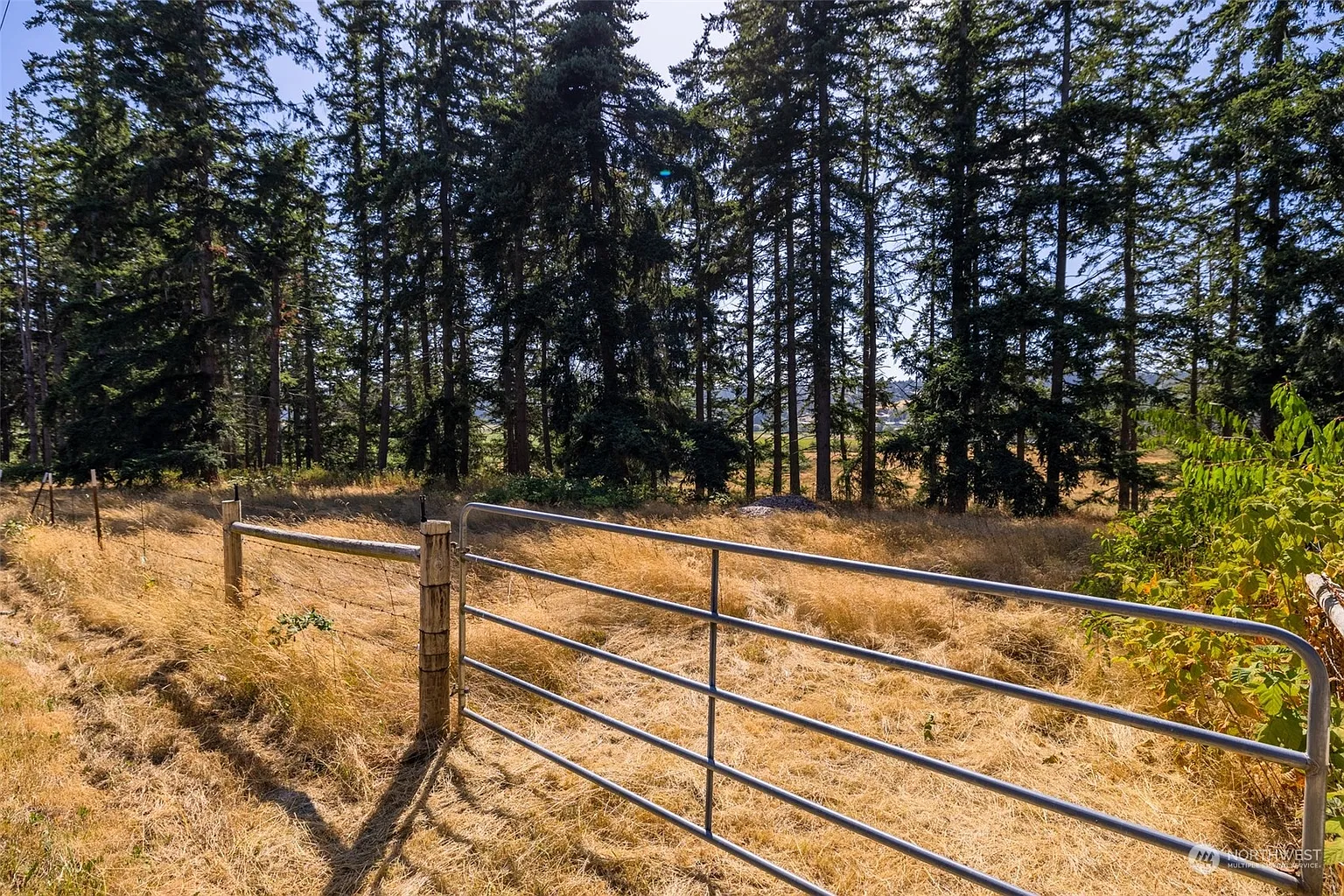 9 Hanstad Road photo 1