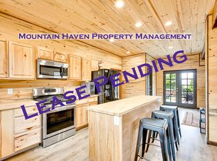 785 1/2 Warren Gulch Rd, Idaho Springs, CO 80452