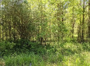 360 Richard St, Coldspring, TX 77331