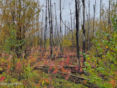 25892 W Rebecca Way, Willow, AK, 99688