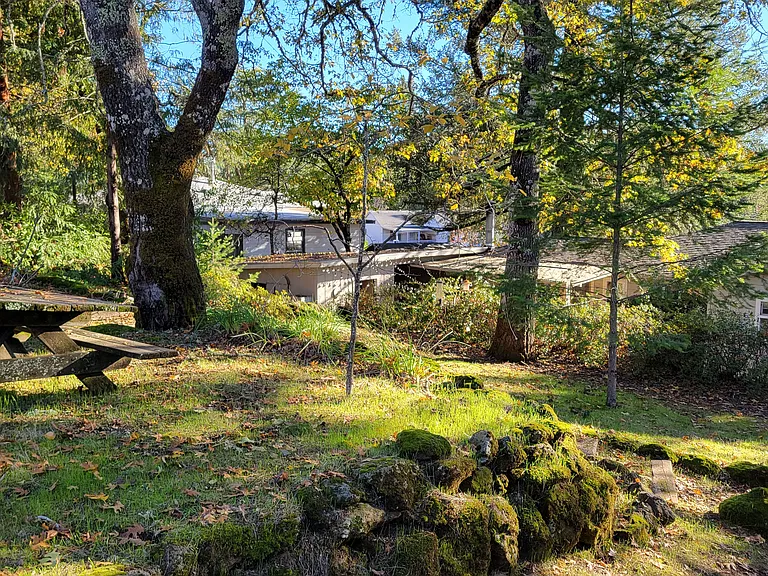 450 Sky Oaks Dr — Photo 9