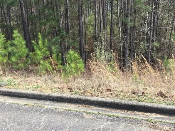 6605 Stone Point Dr, Bessemer, AL 35022