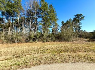 26601 Buchanan Ct, Magnolia, TX 77355