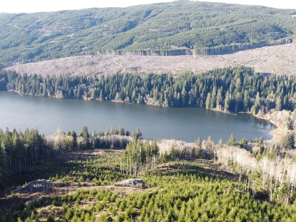 0 E Lake Pleasant Road, Beaver, WA 98305