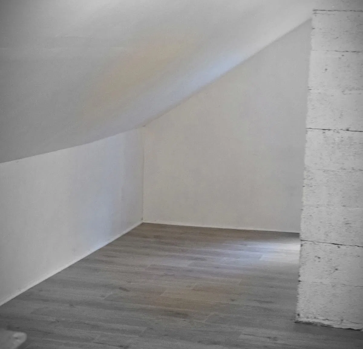 3 bed, 1.5 bath, 1000 sqft, $1,550 — Photo 2