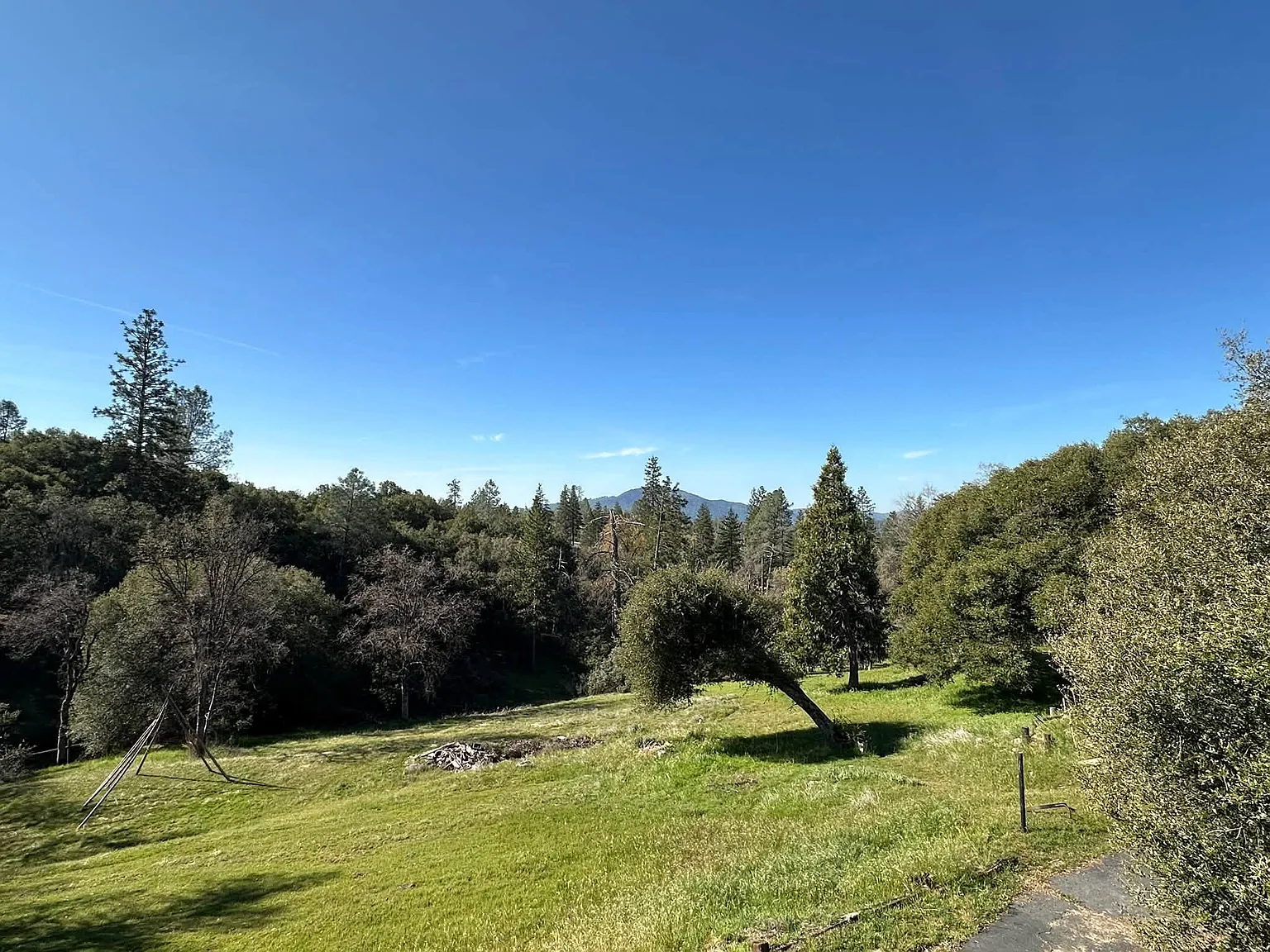 2 bed, 1500 sqft, $2,000 — Photo 3