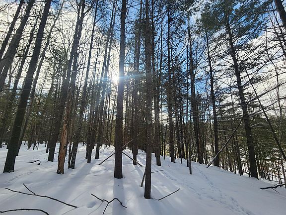 3rd image of 335 Ridgewood Dr