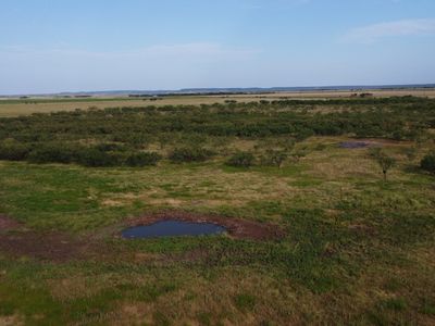 County Road 184, Ovalo, TX, 79541