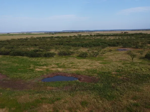 County Road 184, Ovalo, TX 79541
