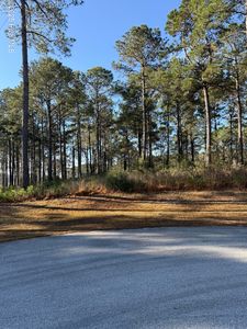 220 Alderman Landing Road, Holly Ridge, NC, 28445
