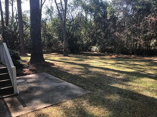 1816 Iola Dr — Photo 4