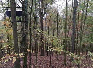 8715 Dog Branch Rd, Mt Pleasant, TN 38474