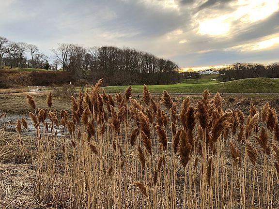 Country club steps away