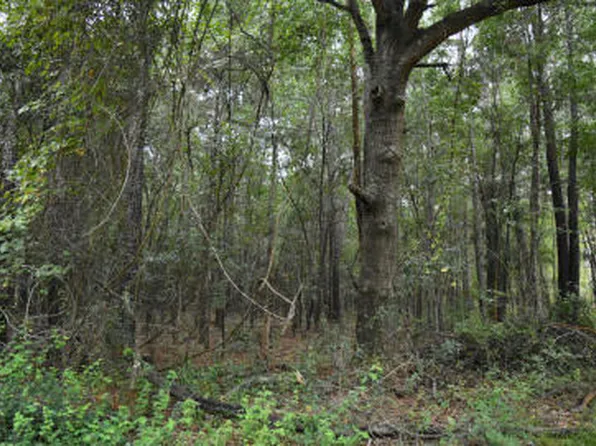 14 Tupperware Rd, Hemingway, SC 29554