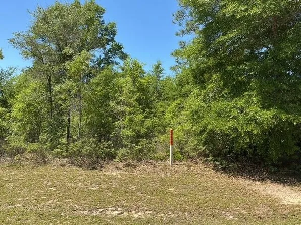 Country Club Blvd, Chipley, FL 32428