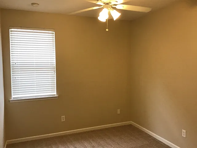 305 Pine Arbor Cir — Photo 14