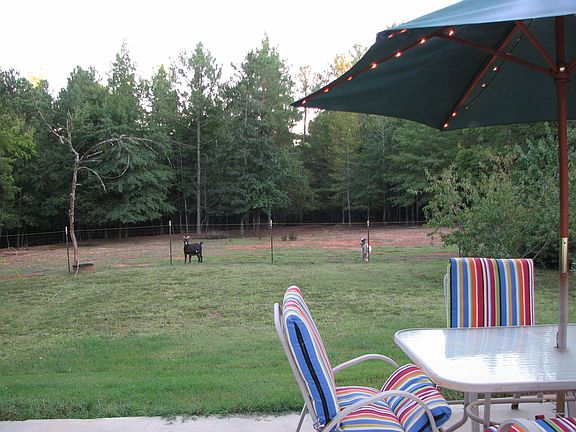 Watch the wildlife from the patio