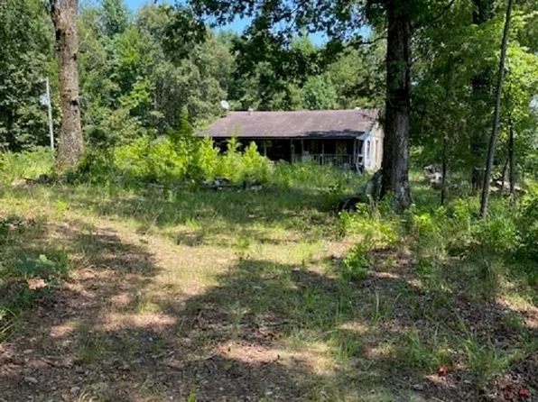 203 Polk Rd #227, Cove, AR 71937