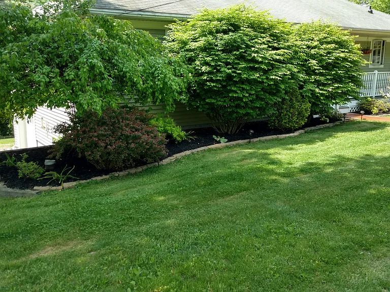 55 Hillcrest Dr — Photo 4