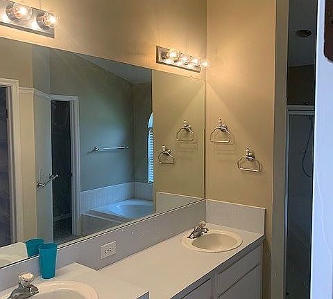 Master Bathroom vanity