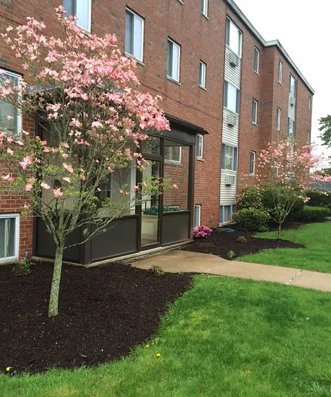 46 Hawthorne St — Photo 2