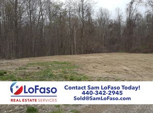 4540 Sunset Cove Dr, Medina, OH 44256