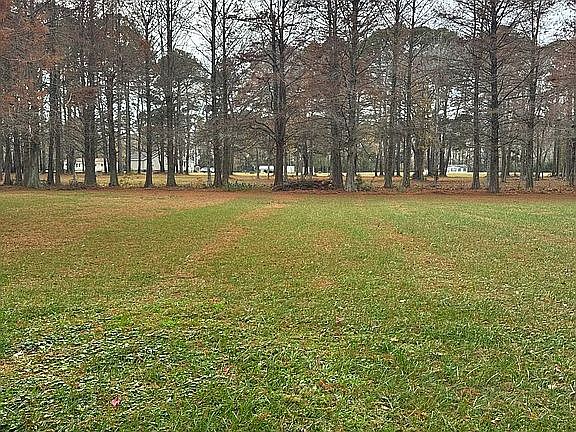 2nd image of 130 B Alder Branch Rd