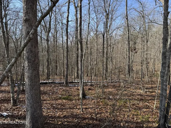 0 Belmont Cir Lot 43, Monterey, TN 38574