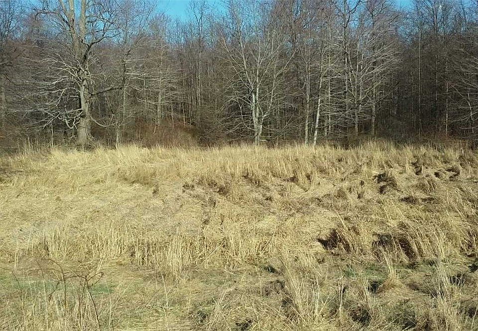 2nd image of Austin Rd