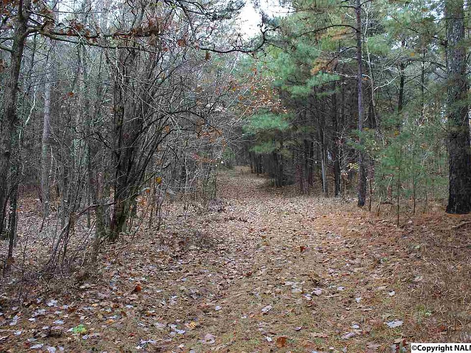 1st image of 8 County Road 822