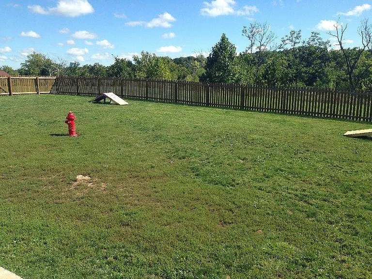 Dog Park