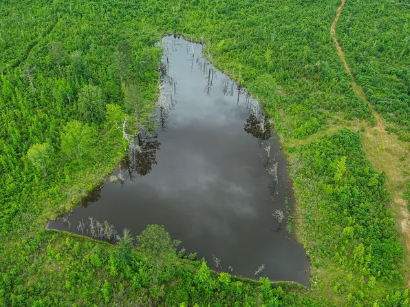 County Road 166, Houston, MS 38851