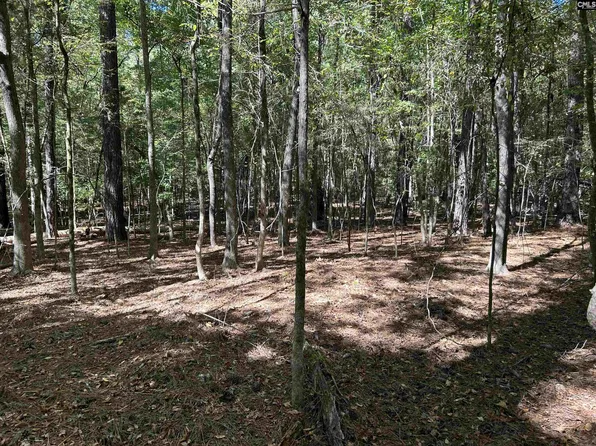 156 Indian Cove Rd, Chapin, SC 29036