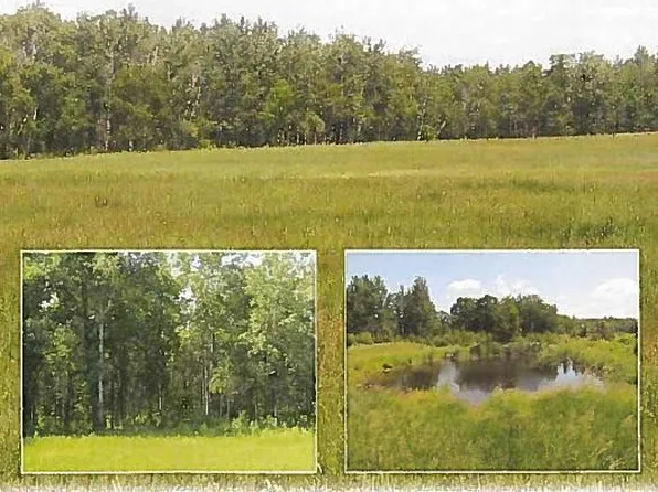 644X 88th St SW, Motley, MN 56466