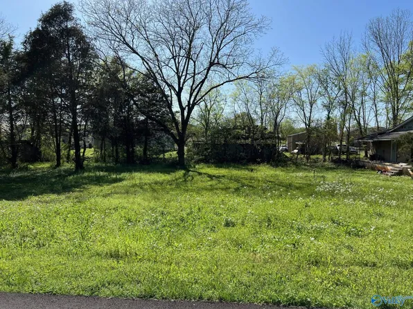 114 Spring St, New Hope, AL 35760