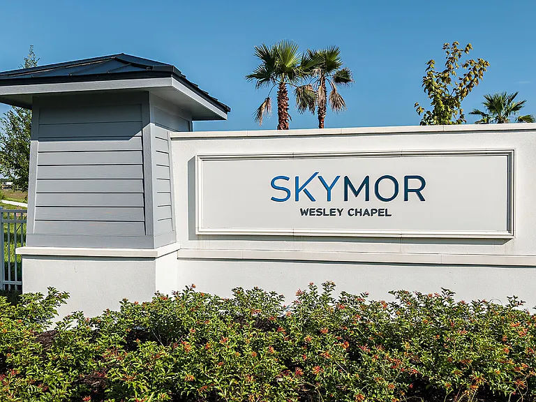 SkyMor Wesley Chapel — Photo 22