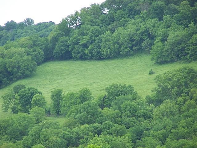 2nd image of 830 Davis Hollow Rd