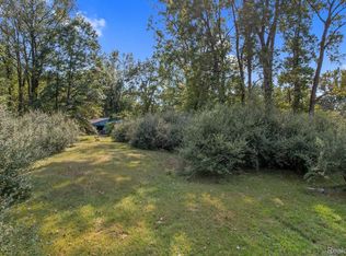 46921 Arkona Rd, Belleville, MI 48111
