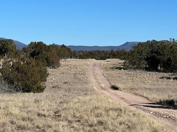 26300 W Highway Rd, Seligman, AZ 86337