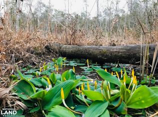 259 Robinson Rd, Butler, GA 31006