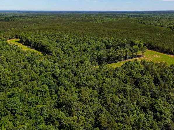 7100 Wolf Pen Rd, Pocahontas, TN 38061