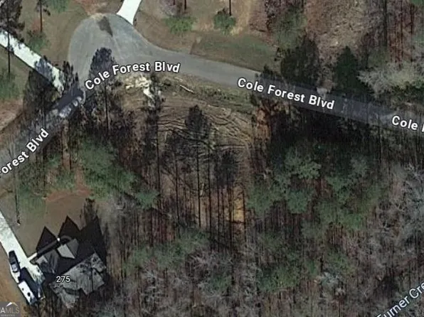 LOT 50 Cole Forest Blvd Lot 50, Barnesville, GA 30204