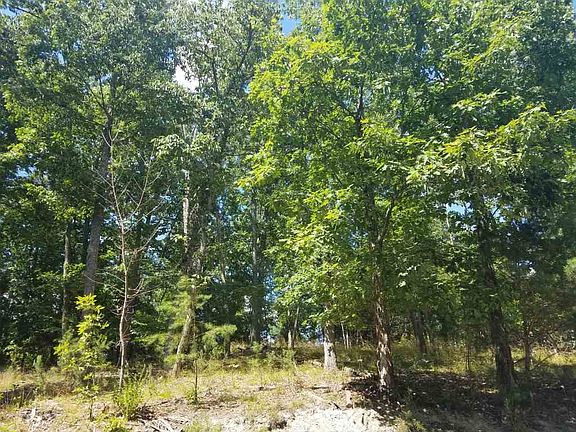 5th image of 1421 Echota Ln