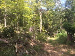 Garden Mountain Rd, Buchanan, VA 24066