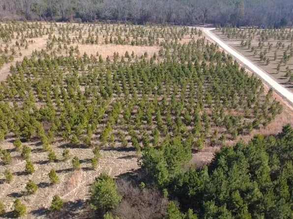 Highway 8 W, Mena, AR 71953