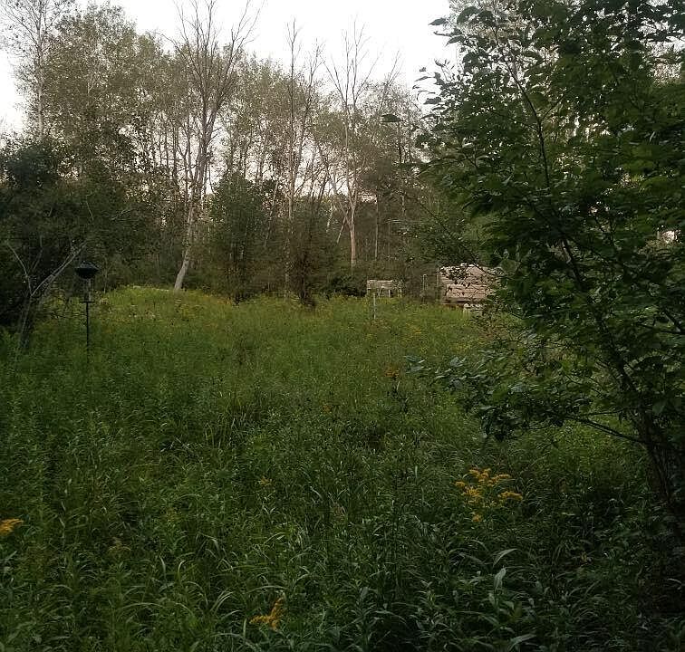 1st image of S Bingham Dr