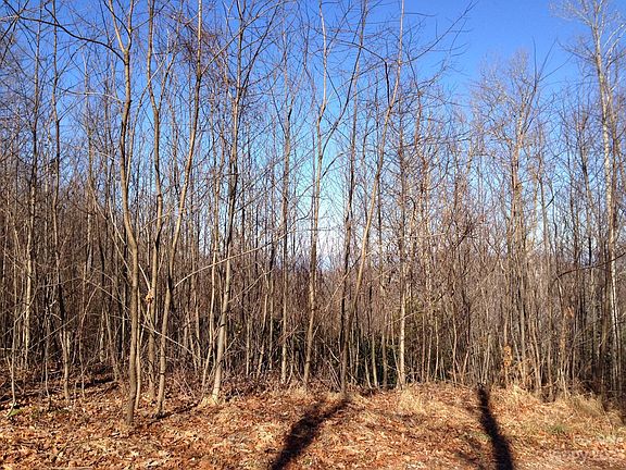 2nd image of 4 Apple Blossom Ln